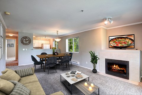 Gas/Electric Fireplaces in specific apartments